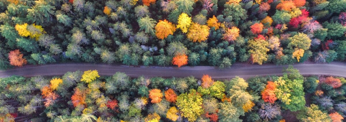 aaron-burden-Qy-autunno-unsplash