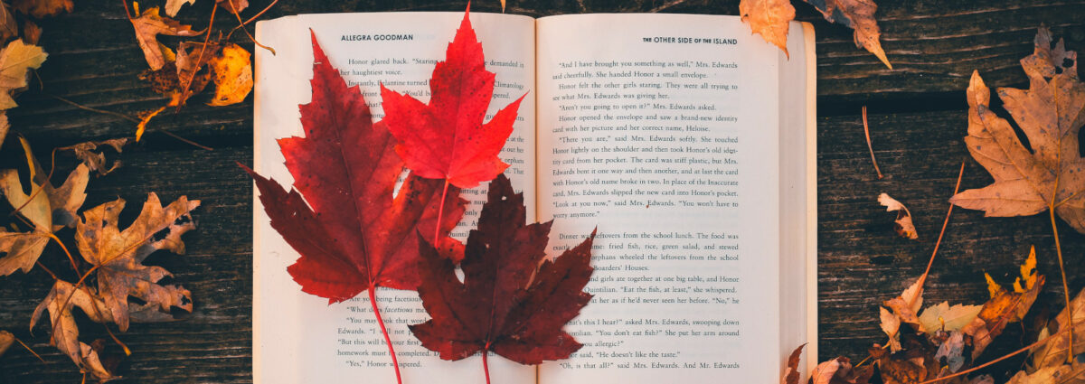 visore-libri-novembreDESK