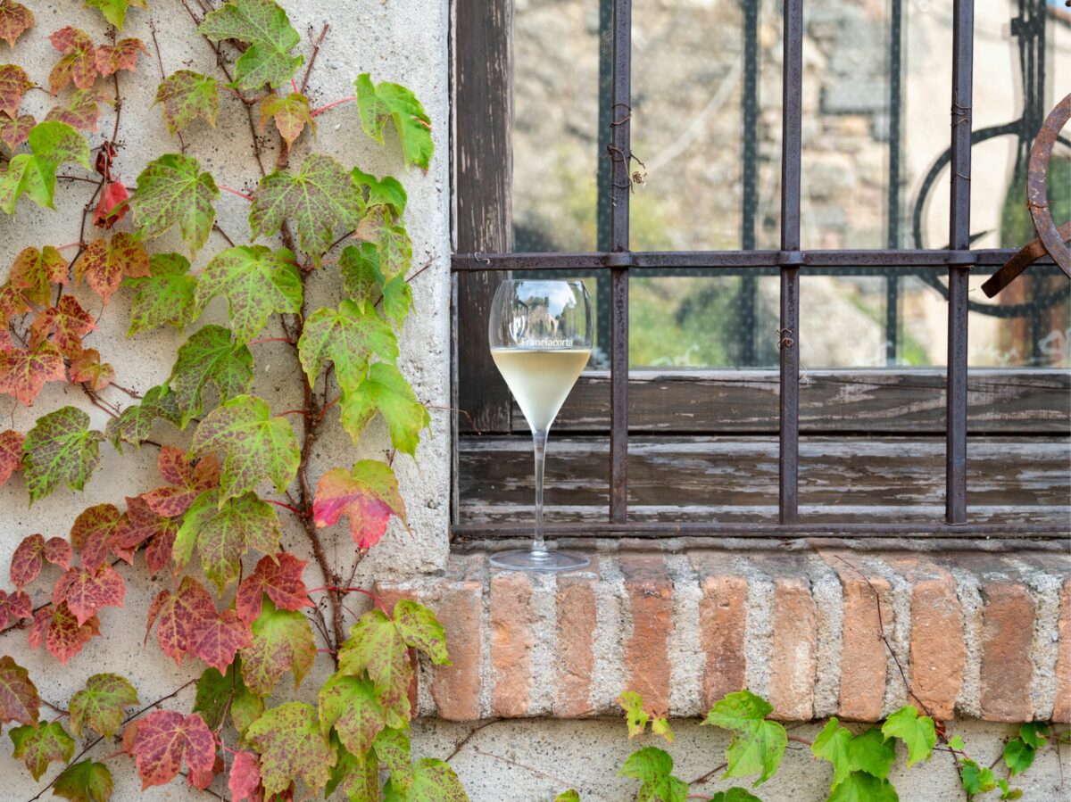 Franciacrota terra vini eccelllenti Consorzio tutela vini 25