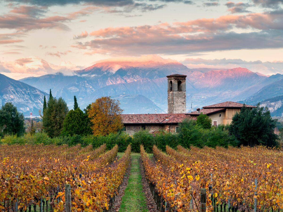 Franciacrota terra vini eccelllenti Consorzio tutela vini 27