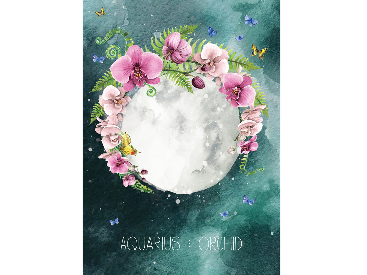 beauty-oroscopo-2021-profumi-segni-zodiacali-ACQUARIO-03