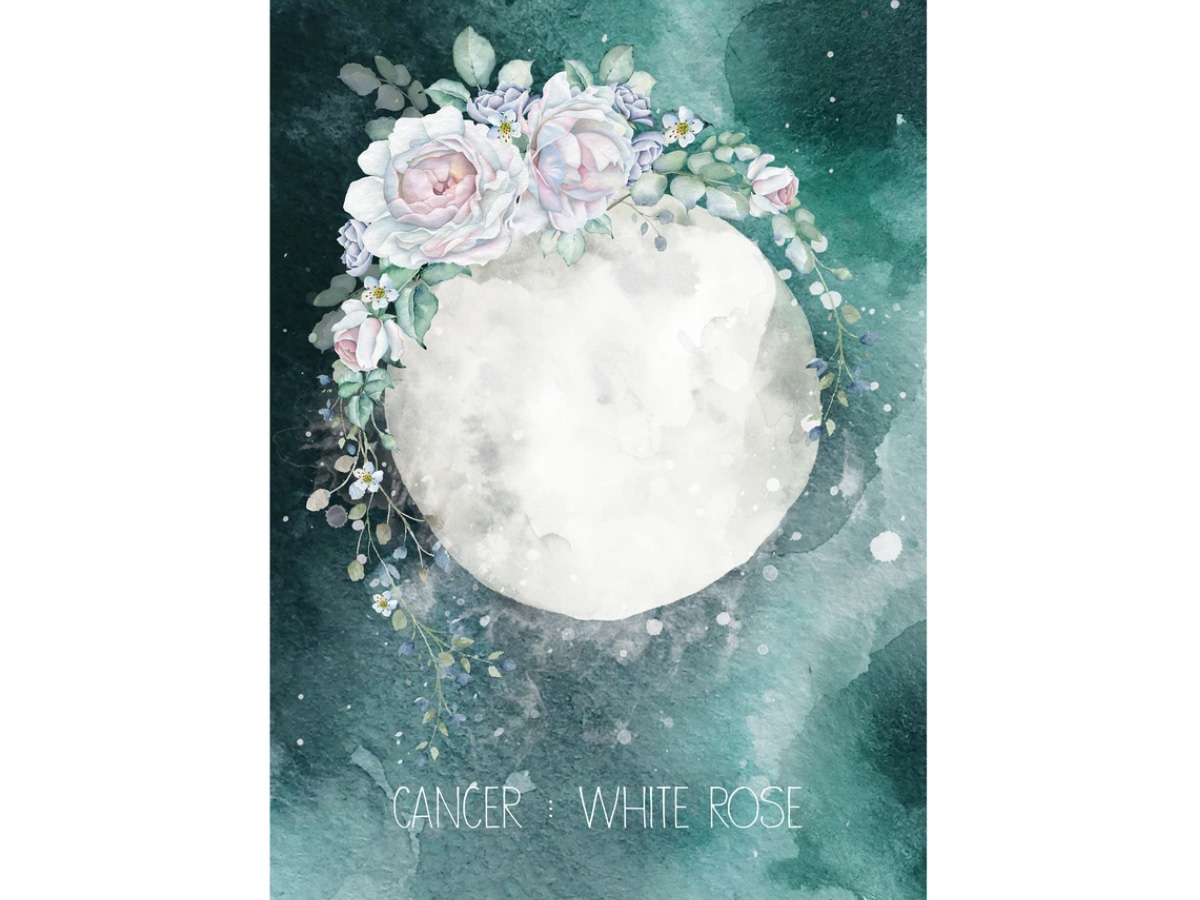 beauty-oroscopo-2021-profumi-segni-zodiacali-CANCRO-03