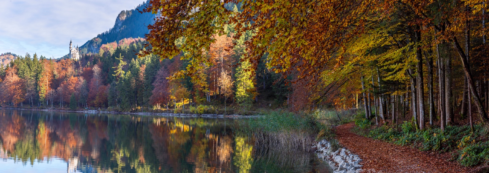 Bavarian Foresta edreams