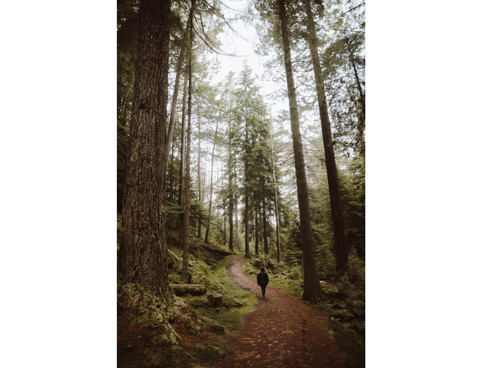Anonymous traveler walking in forest