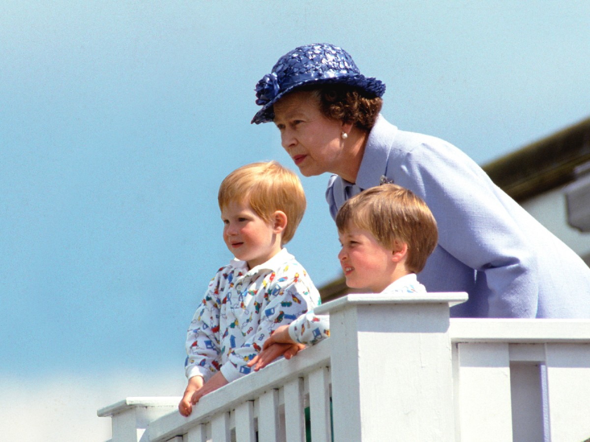 harry william regina