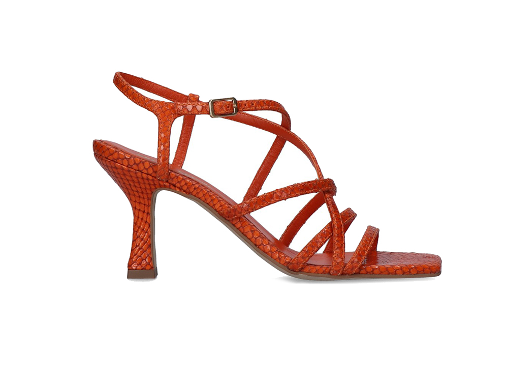 Bruno-Premi—Errani