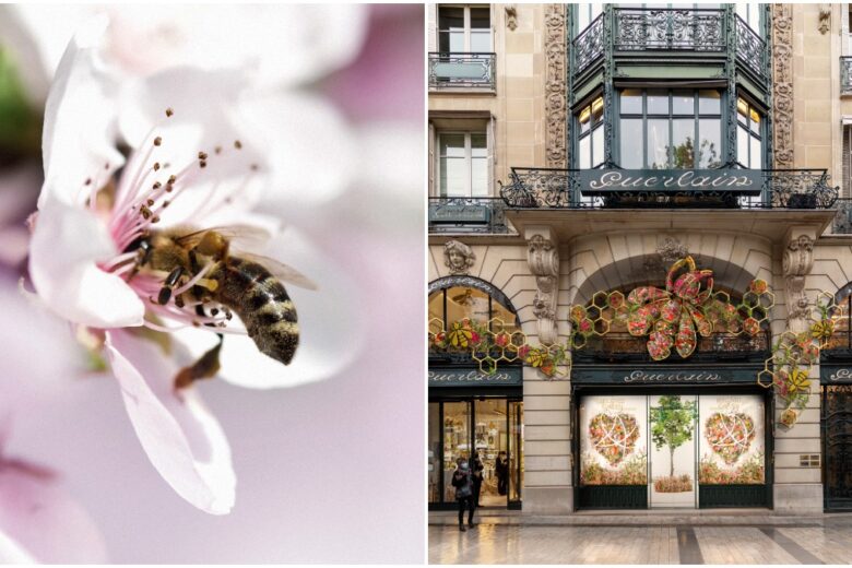 Guerlain World Bee Day 2021: la raccolta benefica a sostegno delle api