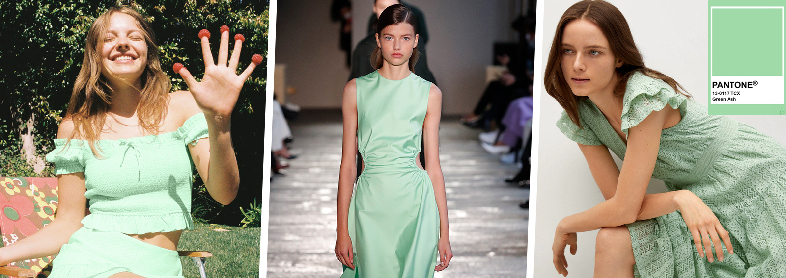 DESKTOP_GREEN_ASH_PANTONE