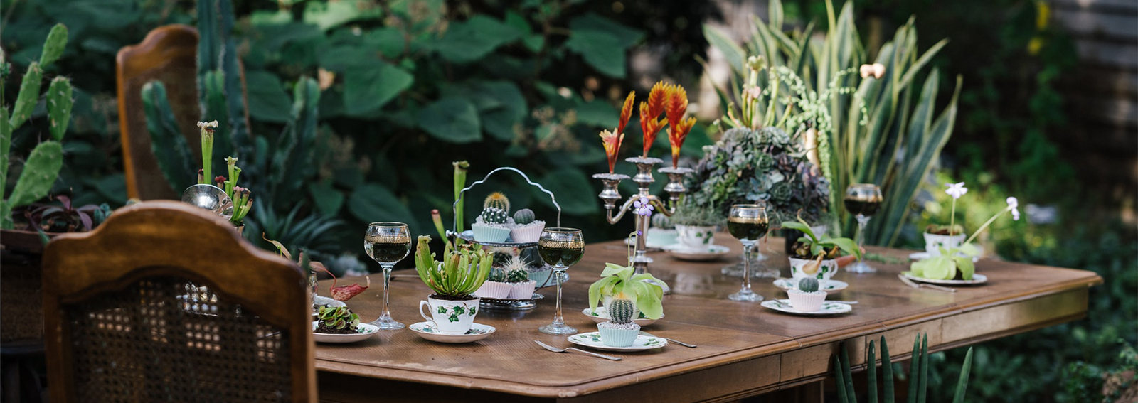 cena aperto estate allestimento cover desktop