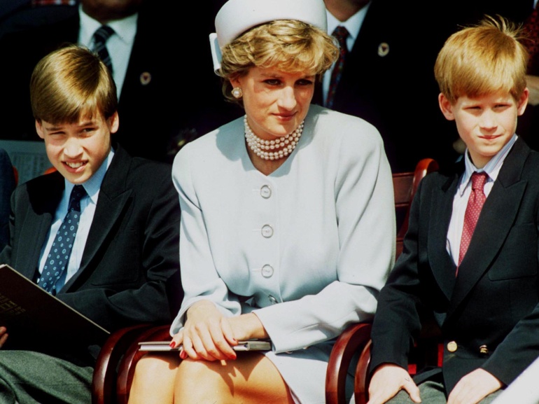 diana harry william hero