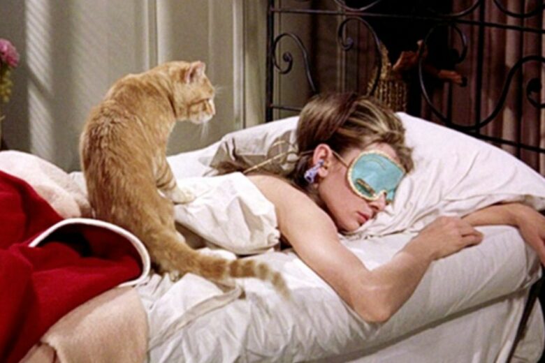 Volete essere pagati per dormire? Ecco dove e come candidarsi