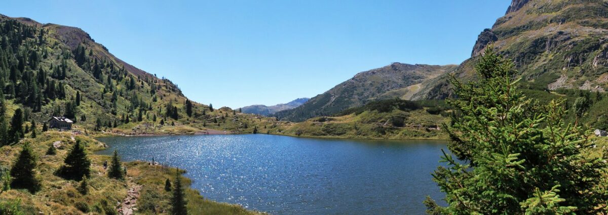 archivio parco paneveggio