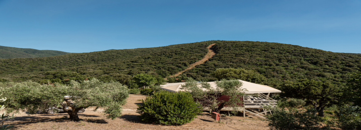 vedetta ph filippo foti