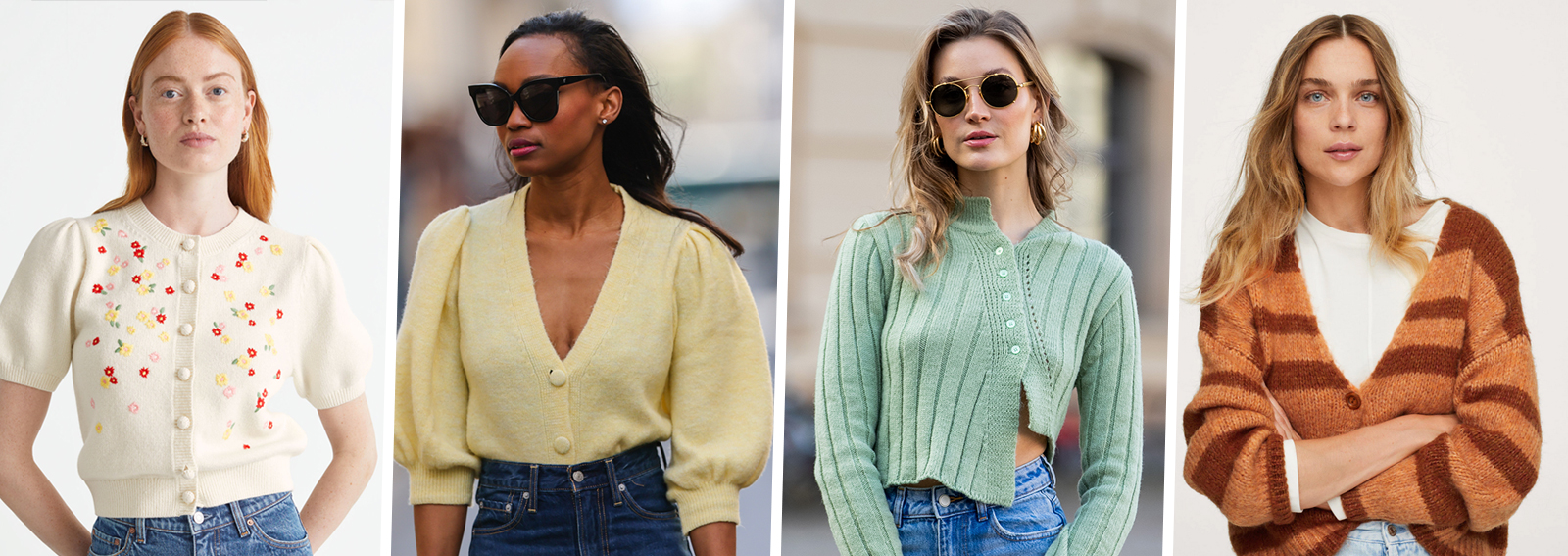 DESKTOP_CARDIGAN_CARINI