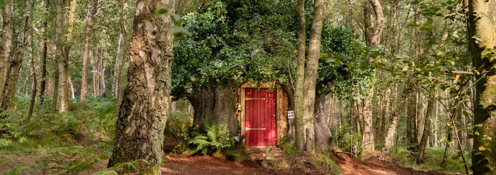 Winnie the Pooh House Airbnb - CREDIT Henry Woide