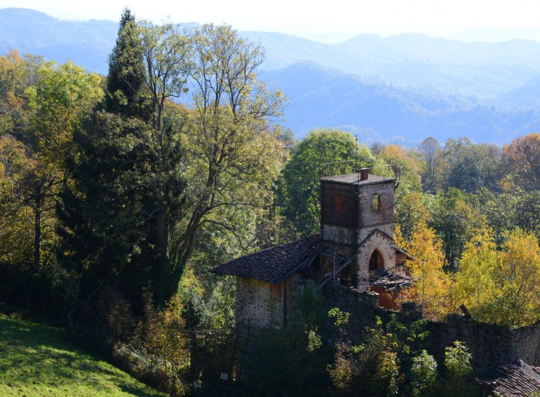 Foliage oasi zegna