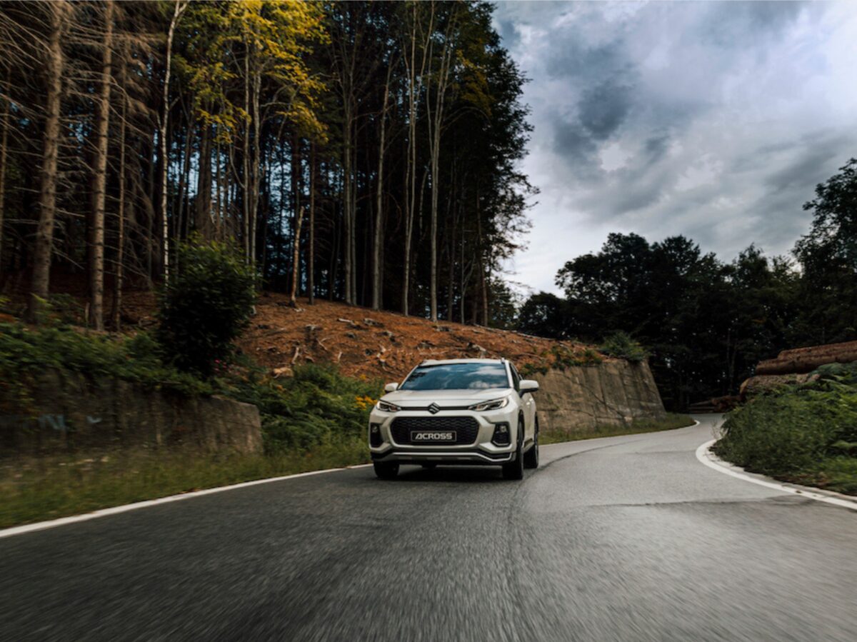 Suzuki across plug in (4)