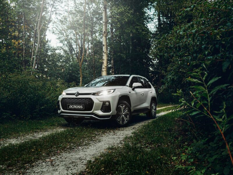 Suzuki across plug in (6)