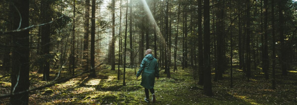 forest bathing hero grande