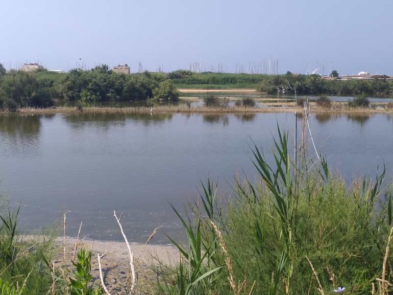 parco letterario Pier Paolo Pasolini