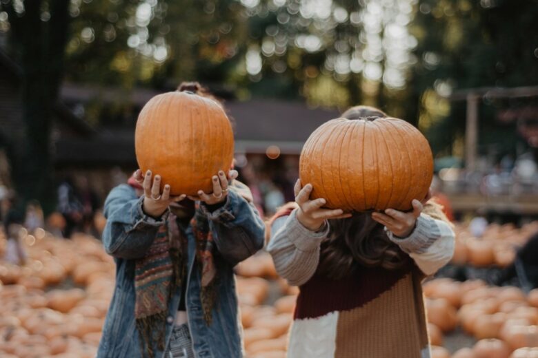 Pumpkin Patch: 6 campi dove raccogliere la zucca da visitare in Italia