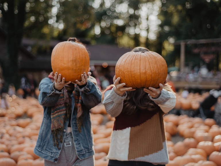 pumpkin patch hero