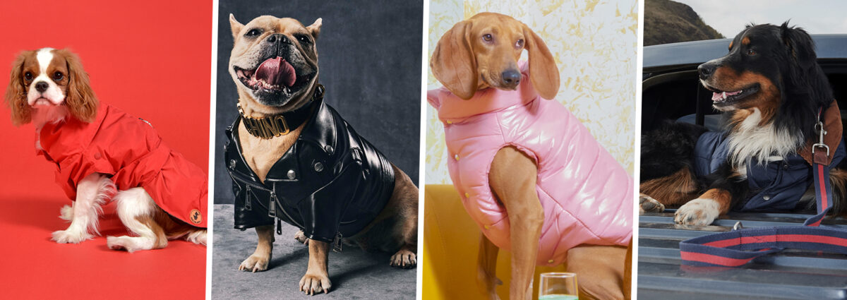 DESKTOP_PER_COLLECTION