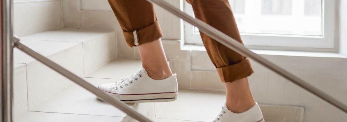 esercizio fisco scle