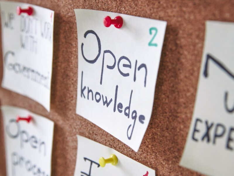 pexels-polina-zimmerman-3782228 copia 2