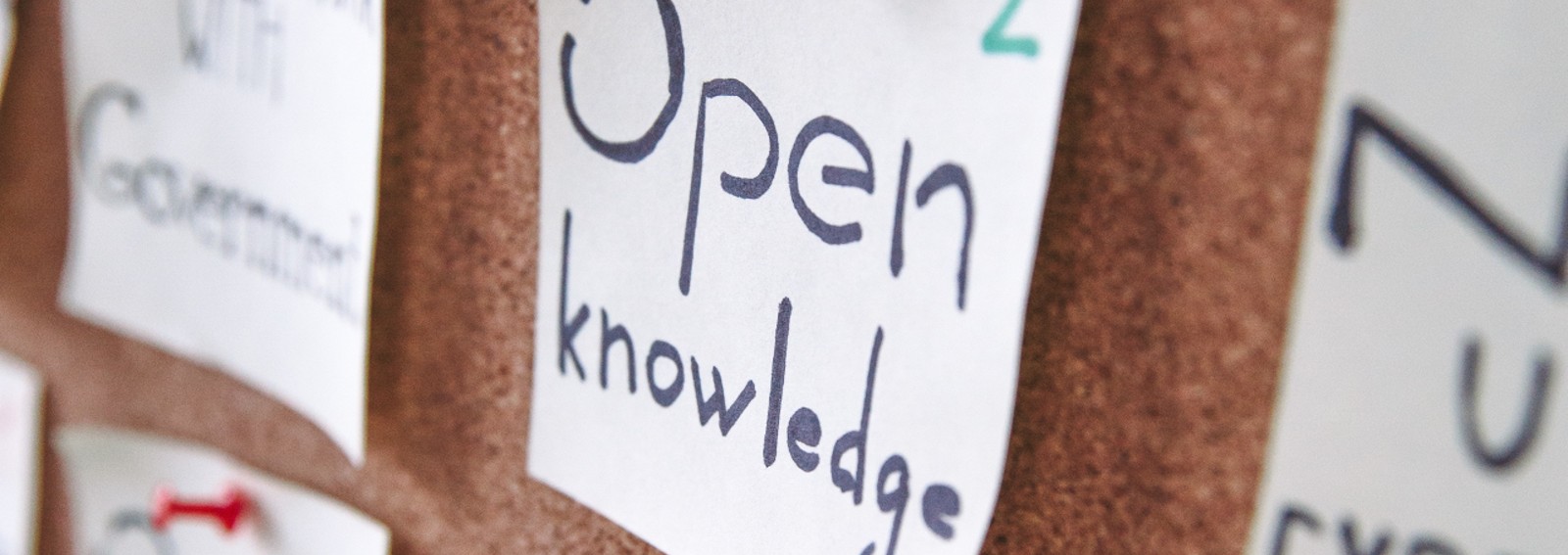 pexels-polina-zimmerman-3782228 copia