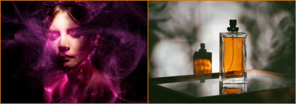 profumi 2022 segni zodiacali beauty oroscopo cover desktop