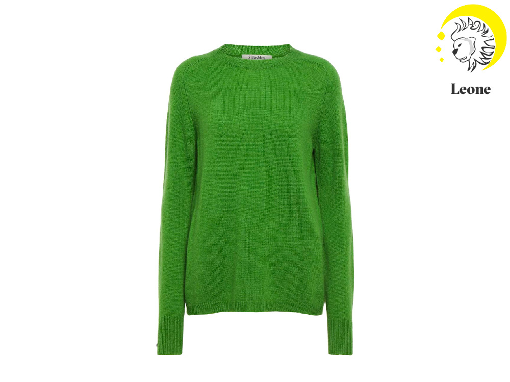 leone-maglione
