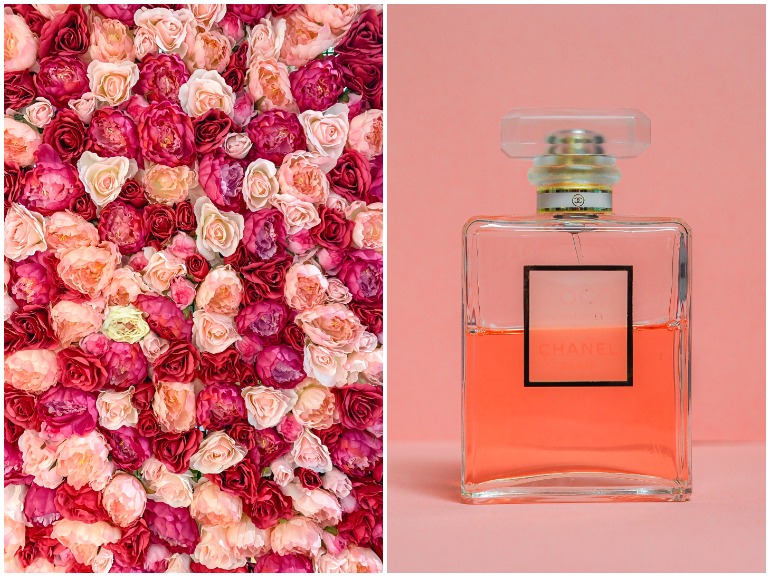 profumi alla rosa cover mobile 01