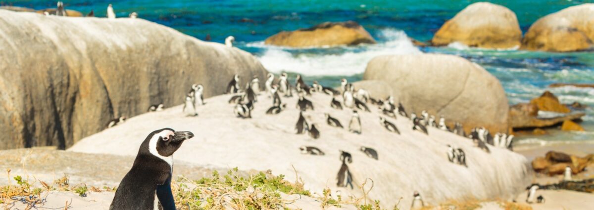 sud africa viaggi hero