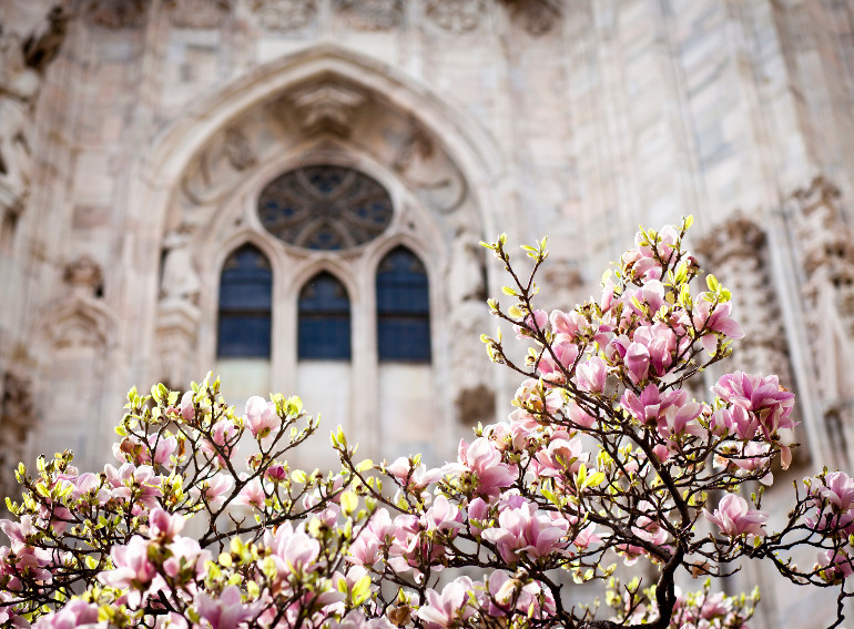 Duomo primavera fiori