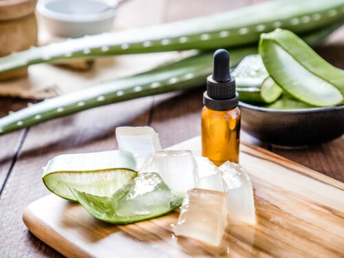 Bere succo di aloe vera  l'ultimo trend di TikTok: ecco i benefici per la  salute
