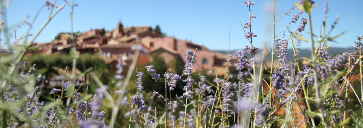 Provenza ph Beatrice Tomasini