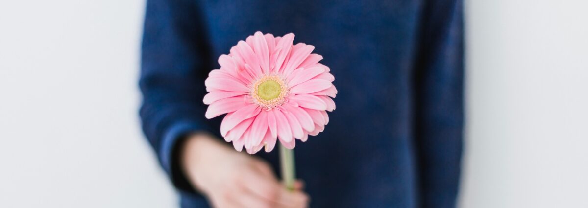 flowersummercup hero