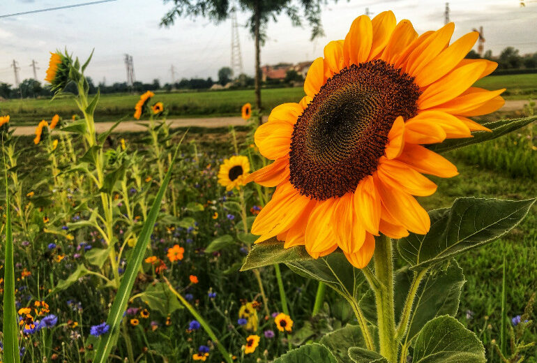 Cosa fare a Milano nel weekend del 9 e 10 luglio