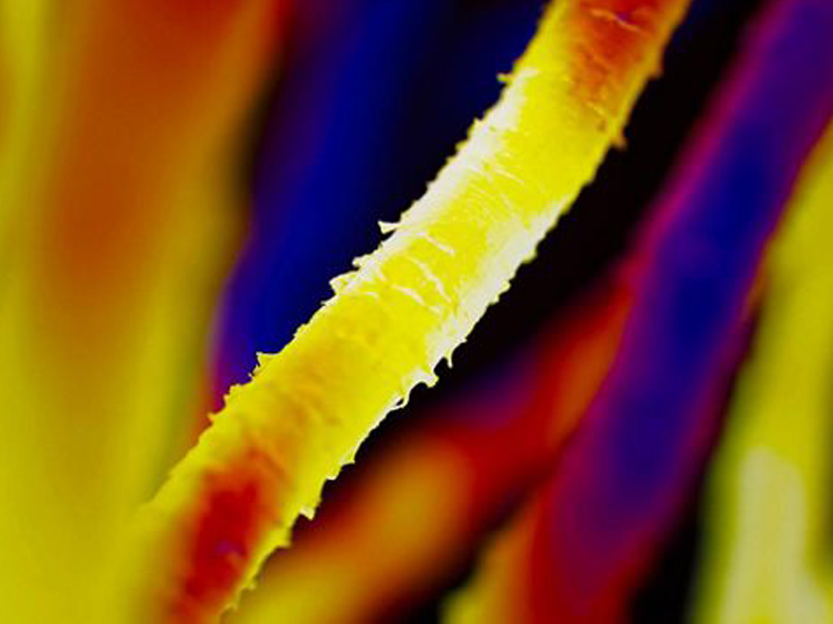 dyson-acconciature-capelli-estate-2022-05