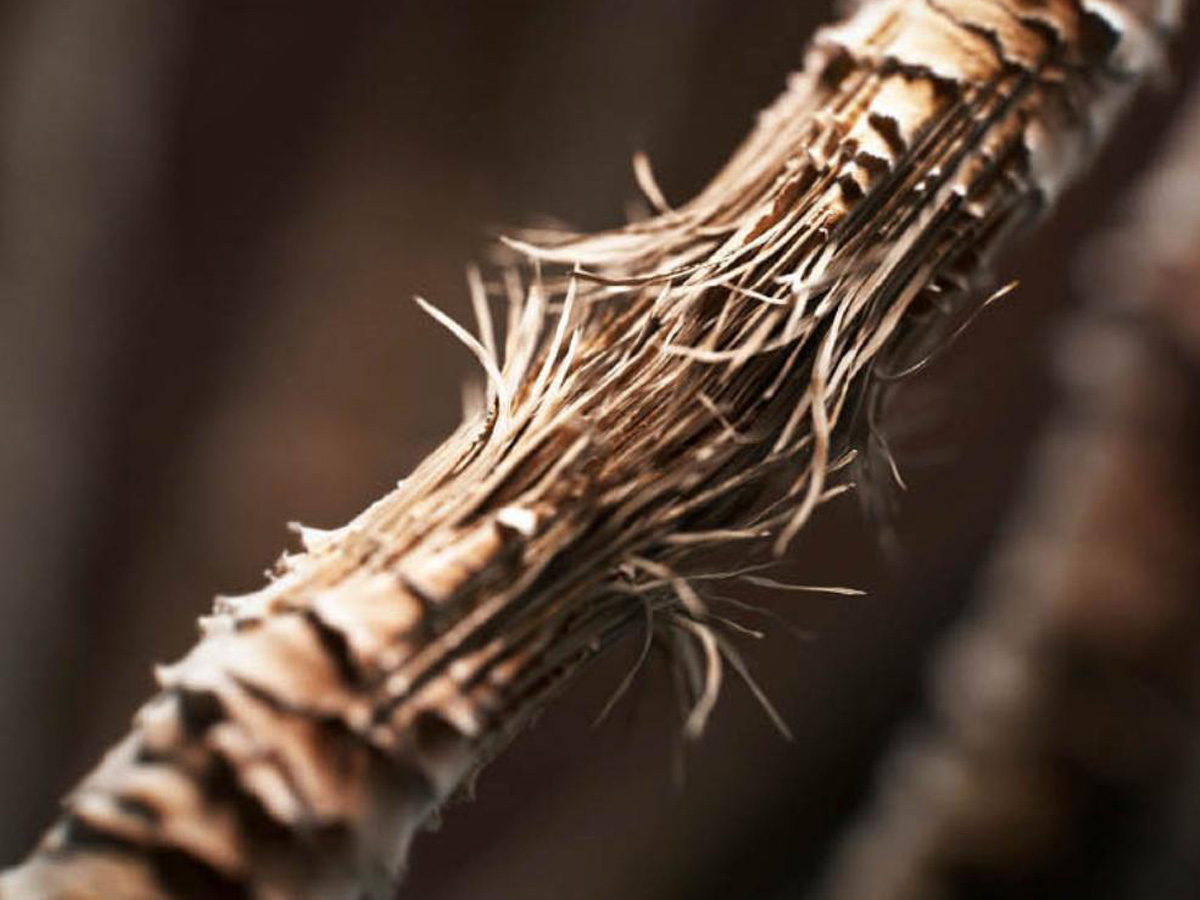 dyson-acconciature-capelli-estate-2022-06