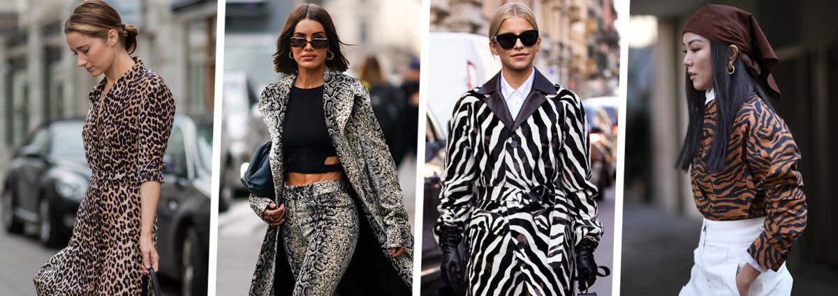 01_DESKTOP_ANIMALIER