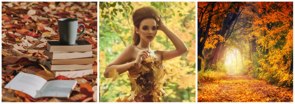 profumi-autunnali-2022-ispirazione-foliage-cover desktop