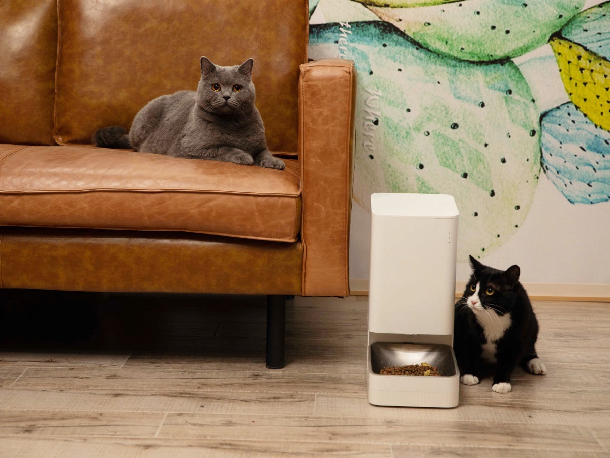 xiaomi pet feeder