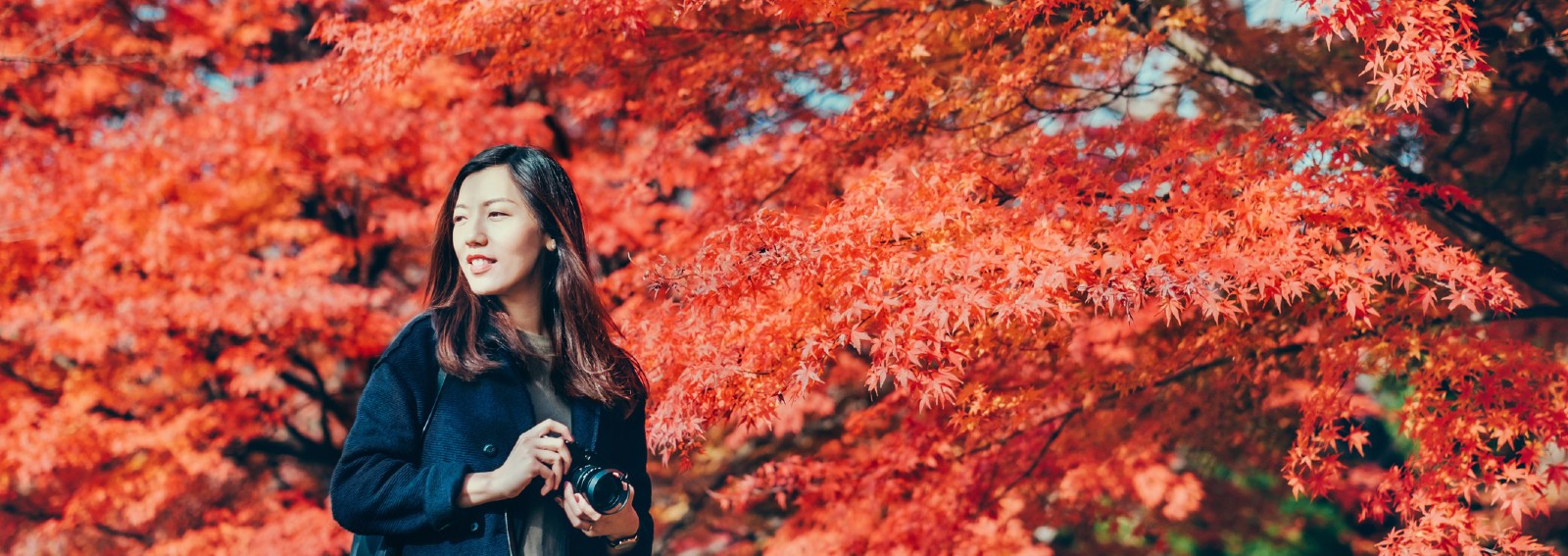 autunno momijigari hero