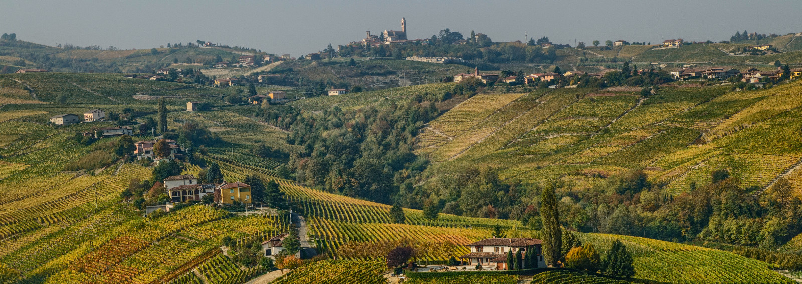 Cover Monferrato autunno hero