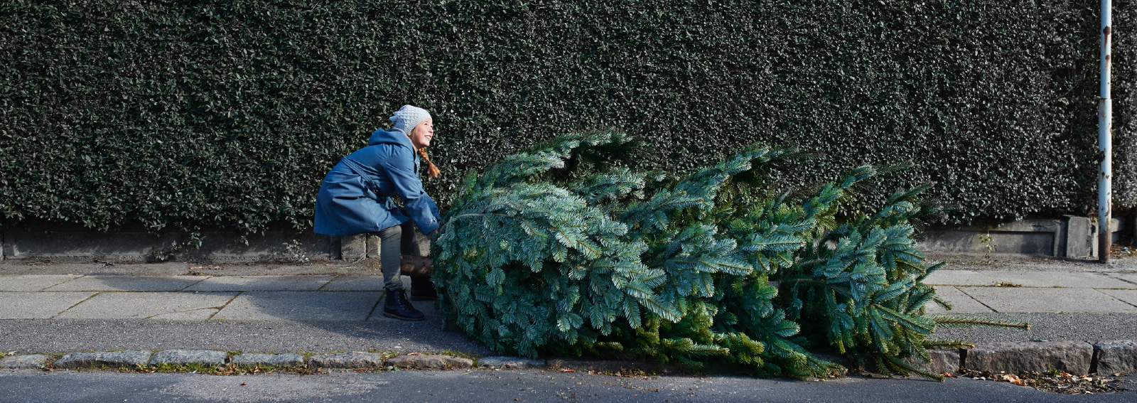 GettyImages-albero di natale