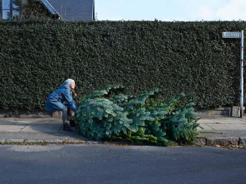 GettyImages-albero di natale(1)