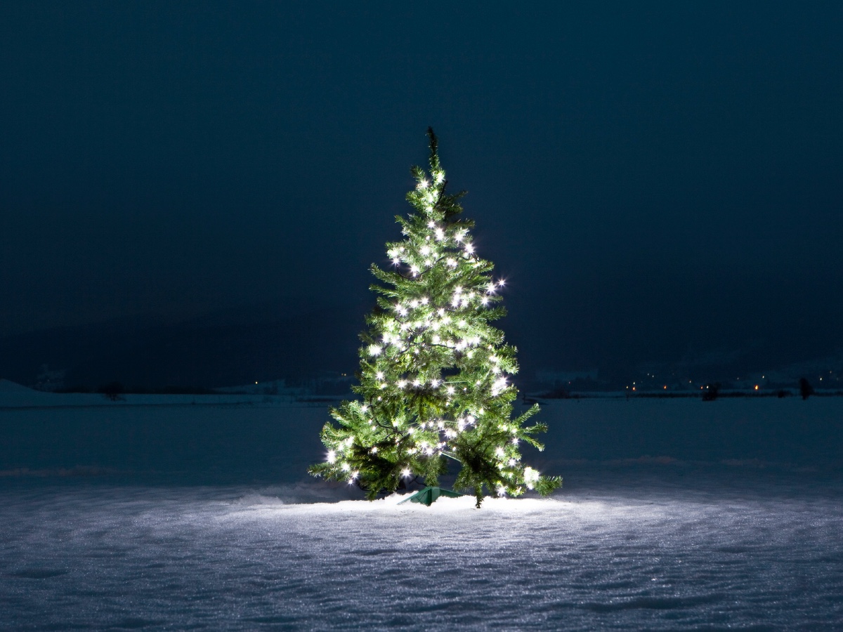 GettyImages-lucine albero natale