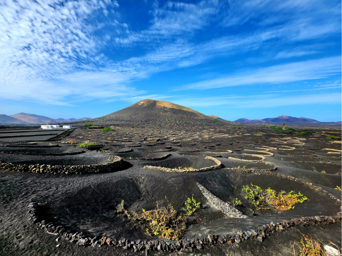 Vigneti Lanzarote